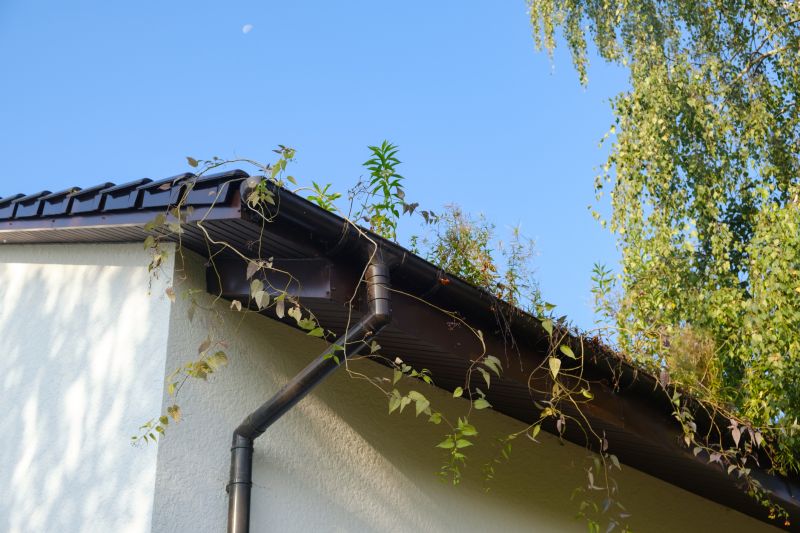 Seamless Metal Gutters Installation